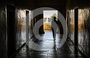 Wandering, Museo de las Culturas de Oaxaca, Oaxaca, Mexico photo