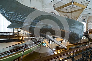 In the Museum of Oceanography in Monaco