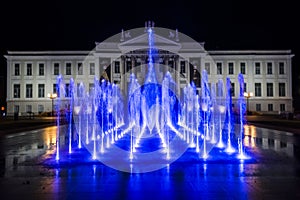 The museum of Szeged at night with fontain