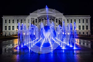 The museum of Szeged at night with fontain