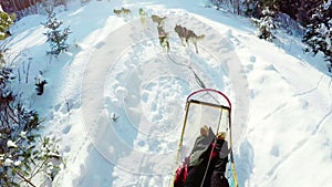 Musher riding sleigh