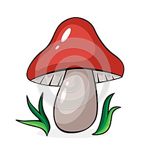 Mushroom