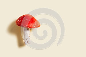 Mushroom Amanita muscaria, fly agaric or fly amanita with red cap, natural mushroom on beige paper background. Close up