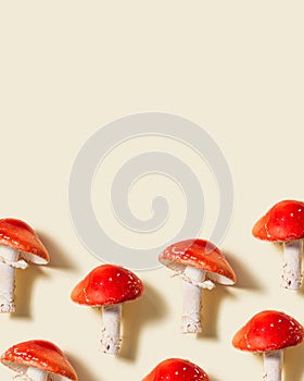 Mushroom Amanita muscaria, fly agaric or fly amanita. Toxic and hallucinogenic mushrooms on beige paper background