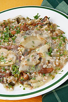 Mushroom, barley and onion stew