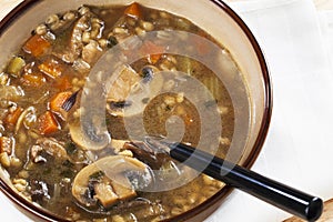 Mushroom Barley Soup with Spoon