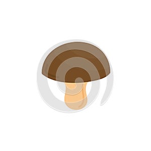 Mushroom bolete vector illustration icon