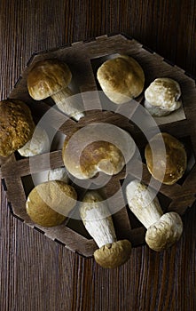 Mushroom Boletus over Wooden Background. Autumn Cep Mushrooms. Ceps Boletus edulis over Wooden box, close up on wood rustic table.