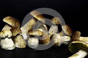 Mushroom Boletus over Wooden Background. Autumn Cep Mushrooms. Ceps Boletus edulis over Wooden Dark Background, close up on wood r
