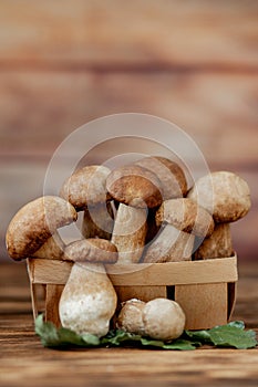 Mushroom Boletus over Wooden Background. Autumn Cep Mushrooms. Ceps Boletus edulis over Wooden Background, close up on wood rustic