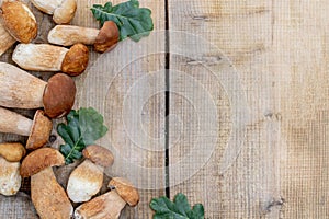 Mushroom Boletus over Wooden Background. Autumn Cep Mushrooms. Ceps Boletus edulis over Wooden Background, close up on wood rustic