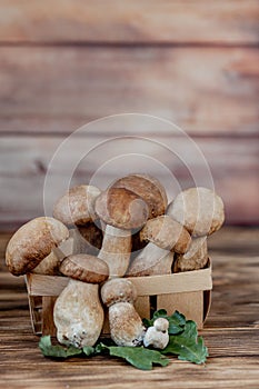 Mushroom Boletus over Wooden Background. Autumn Cep Mushrooms. Ceps Boletus edulis over Wooden Background, close up on wood rustic