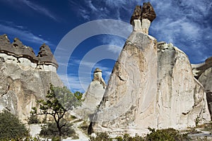 Mushroom capped fairy chimneys at Pasabag