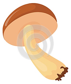 Mushroom cartoon icon. Organic food cooking ingredient