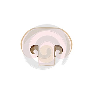 Mushroom champignon cut sliced product on white background. Mushroom drawing for icon, logo, label, menu. Ingredient for pizza