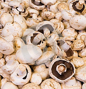 Mushroom champignon. food background wallpaper