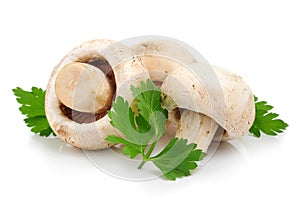 Mushroom champignon fruits with parsley leaves
