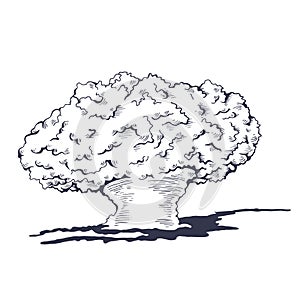 Mushroom cloud from the atomic bombing