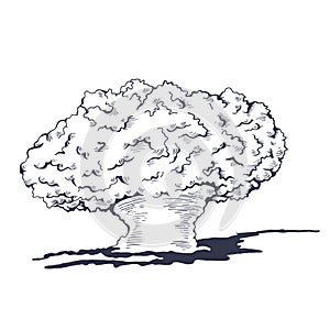 Mushroom cloud from the atomic bombing photo