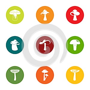 Mushroom colony icons set, flat style