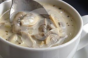 Mushroom and cream soup