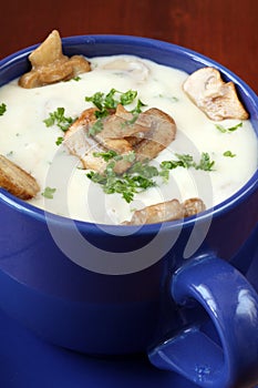 Mushroom cream soup