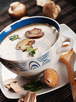 Mushroom cream soup