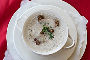 Mushroom cream soup with filler