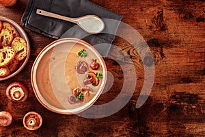 Mushroom cream soup with various mushrooms and toasted bread