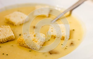 Mushroom cream with tasty bread croutons