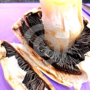 Mushroom cut close-up. sliced mushroom champignon
