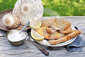 Mushroom dish with Freshly picked and fried Macrolepiota procera