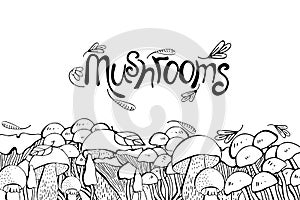 Mushroom drawing vector seamlees border. Isolated food frame sketch. Champignon, morel, truffle, enokitake, porcini, oyster,