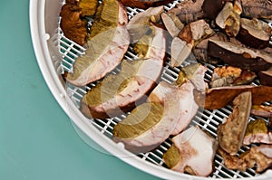 Mushroom drying machine