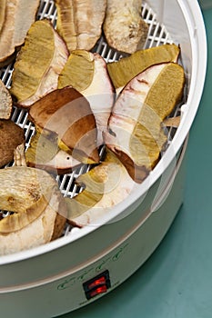 Mushroom drying machine