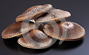 Mushroom Elegance photo