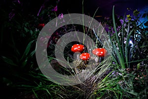 Mushroom. Fantasy Glowing Mushrooms in mystery dark forest close-up. Amanita muscaria, Fly Agaric in moss in forest. Magic mushroo