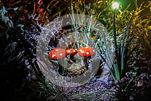 Mushroom. Fantasy Glowing Mushrooms in mystery dark forest close-up. Amanita muscaria, Fly Agaric in moss in forest. Magic mushroo