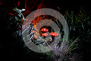 Mushroom. Fantasy Glowing Mushrooms in mystery dark forest close-up. Amanita muscaria, Fly Agaric in moss in forest. Magic mushroo