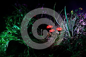 Mushroom. Fantasy Glowing Mushrooms in mystery dark forest close-up. Amanita muscaria, Fly Agaric in moss in forest. Magic mushroo