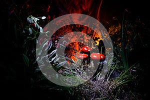 Mushroom. Fantasy Glowing Mushrooms in mystery dark forest close-up. Amanita muscaria, Fly Agaric in moss in forest. Magic mushroo