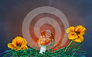 Mushroom and flower