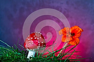 Mushroom and flower