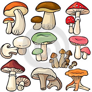 Mushroom forest set on a white background