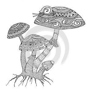 Mushroom fungus black hand-drawn intricate adult coloring book design for anti stress activity