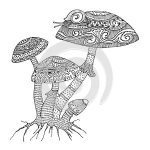 Mushroom fungus black hand-drawn intricate adult coloring book design for anti stress activity photo