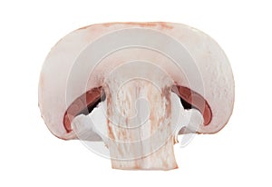 Mushroom half