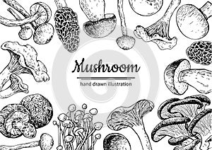Mushroom hand drawn vector frame. Isolated Sketch organic food d