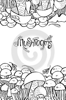 Mushroom hand drawn vector frame. Isolated Sketch organic food drawing template. Champignon, morel, truffle, enokitake, porcini,