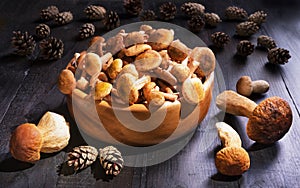 Mushroom honey agaric and ceps boletus over wooden background. Close -up on wood rustic table. Cooking delicious organic mushroom